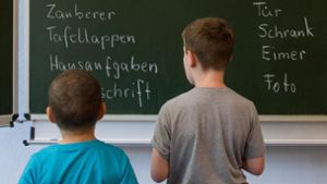Braucht es Rechtschreibung?: Das sagen Lahrer Lehrer zum Kretschmann-Vorschlag