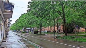 Für zwölf Stunden wird am Samstag, 11. Mai, die Weingartenstraße in Offenburg  für das Straßenbaumfest für Autos gesperrt. Foto: privat