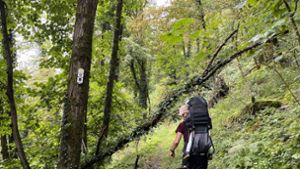 Die rund 8,3 Kilometer des „Wolfacher Grenzgänger-Steigs“ sind  herausfordernd – dafür gab es aber  auch die Zertifizierung des deutschen  Wanderinstituts. Foto: Springmann