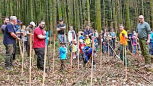 „Klimawald für unsere Nachkommen“: Kippenheimer Bürger helfen beim Bäumepflanzen